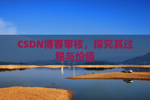 CSDN博客审核，探究其过程与价值